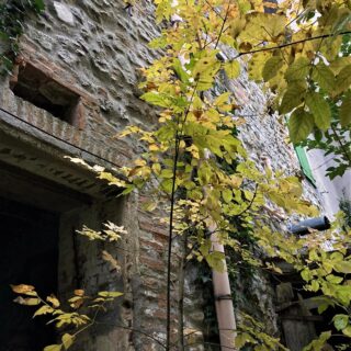 Casa in centro a Verucchio con ampio giardino